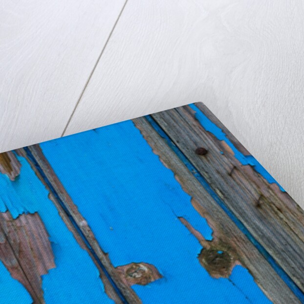 Paint on old door surface by Assaf Frank